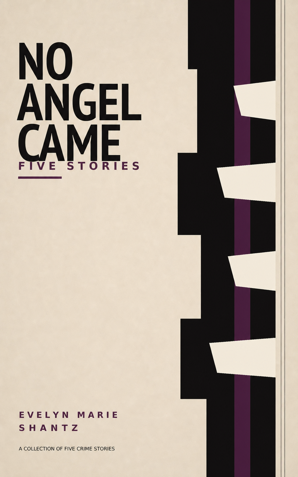 No Angel Came: Five Stories by Evelyn Marie Shantz